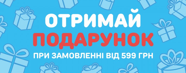 768х300