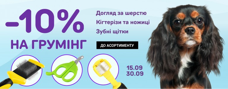 акція на грумінг 10