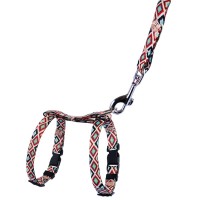 Шлея с Поводком для Котов и Мелких Собак BronzeDog Urban Гуцульская Коричневая