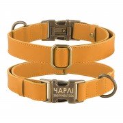 Нашийник для Собак Шкіряний BronzeDog Antiq Голд