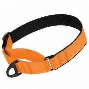 Нашийник Мартінґейл для Собак Нейлоновий 3д Сітка BronzeDog Mesh Помаранчевий
