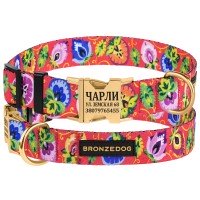 Нашийник для Собак Bronzedog Urban Folk Нейлоновий з Сталевою пряжкою Золотистого Кольору Кораловий