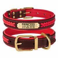 Нашийник для Собак Шкіряний BronzeDog Premium з Литий латунний фурнітура та Адресніком Коричнево-Червоний