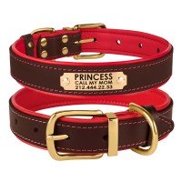 Нашийник для Собак Шкіряний BronzeDog Premium з Литий латунний фурнітура та Адресніком Коричнево-Червоний