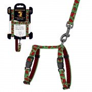 Шлея з Поводком для Котів та Дрібних Собак BronzeDog Urban Fruits Кавун