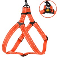Шлея для Собак BronzeDog Active Нейлоновая со Светоотражением Коралловая
