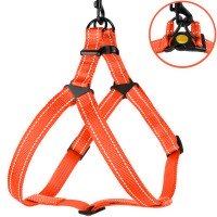 Шлея для Собак BronzeDog Active Нейлонова зі світловідбивання Коралова