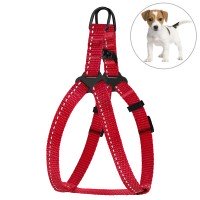 Шлея для Собак Дрібних Порід BronzeDog Active Нейлонова зі світловідбивання Червона