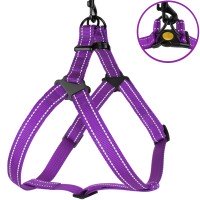 Шлея для Собак BronzeDog Active Нейлонова зі світловідбивання Фіолетова