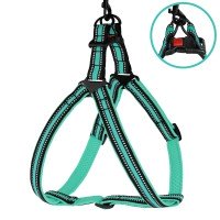 Шлея для Собак BronzeDog Mesh Стандарт Ментолова