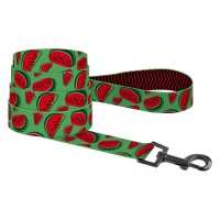 Поводок для Собак BronzeDog Urban Fruits Нейлоновый Арбуз
