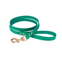 Поводок для Собак Шкіряний BronzeDog Premium з Литий латунний фурнітура Бірюзовий