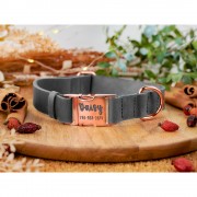 Ошейник для Собак Кожаный BronzeDog Crazy с Золотой Пряжкой Голубой