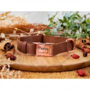 Ошейник для Собак Кожаный BronzeDog Crazy с Золотой Пряжкой Коричневый