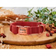 Ошейник для Собак Кожаный BronzeDog Crazy с Золотой Пряжкой Красный