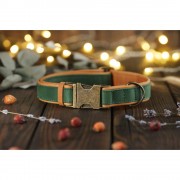 Ошейник для Собак Кожаный BronzeDog Подклеенный Зелёный