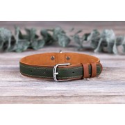 Ошейник для Собак Кожаный BronzeDog Crazy Плоский Коричнево-Зеленый