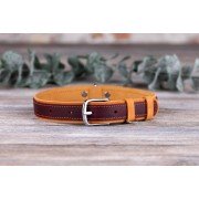 Нашийник для Собак Шкіряний BronzeDog Crazy Плоский Коричнево-Бордовий
