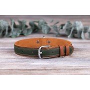 Нашийник для Собак Шкіряний BronzeDog Crazy Плоский Коричнево-Зелений