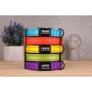 Ошейник для Собак BronzeDog Active Нейлоновый со Светоотражением и Металлической Пряжкой Коралловый