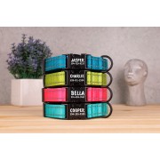 Ошейник для Собак BronzeDog Active Нейлоновый со Светоотражением и Металлической Пряжкой Бирюзовый
